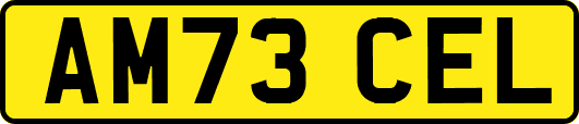 AM73CEL