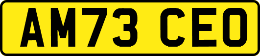 AM73CEO