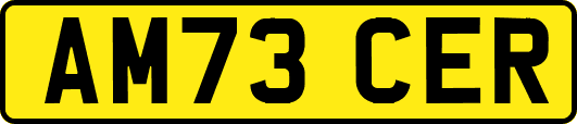 AM73CER