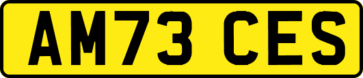 AM73CES