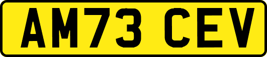 AM73CEV