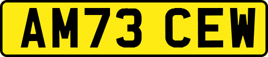 AM73CEW