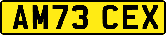 AM73CEX