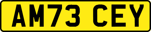 AM73CEY