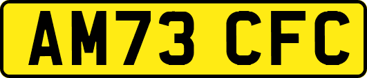 AM73CFC