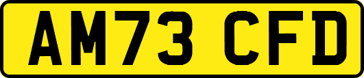 AM73CFD
