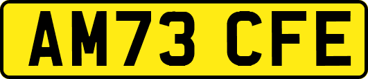 AM73CFE