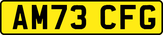 AM73CFG