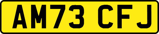 AM73CFJ