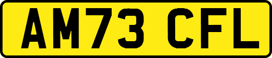AM73CFL