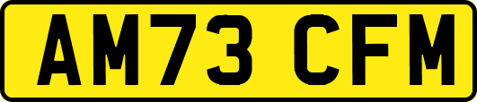 AM73CFM