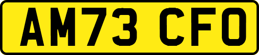 AM73CFO