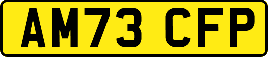 AM73CFP