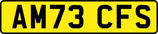 AM73CFS