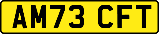 AM73CFT