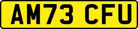 AM73CFU