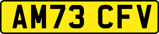 AM73CFV