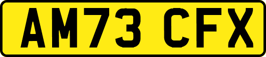 AM73CFX