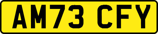 AM73CFY