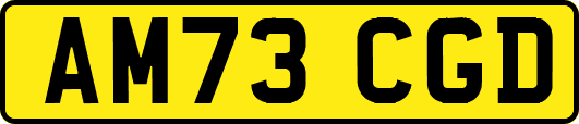 AM73CGD