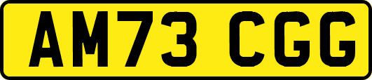 AM73CGG