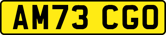 AM73CGO