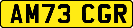AM73CGR