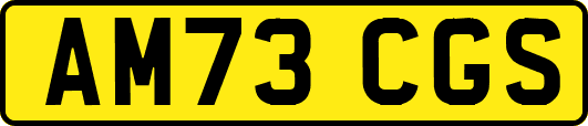 AM73CGS