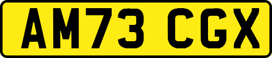 AM73CGX