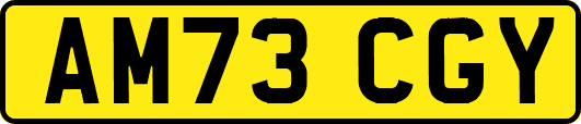 AM73CGY