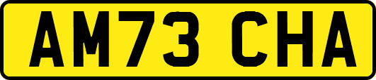 AM73CHA