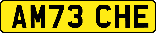 AM73CHE