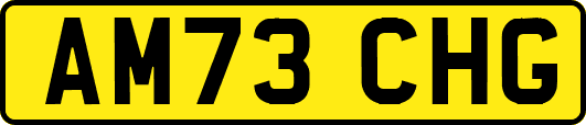 AM73CHG