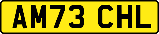 AM73CHL