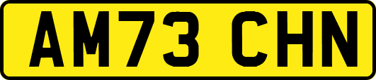 AM73CHN