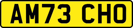 AM73CHO