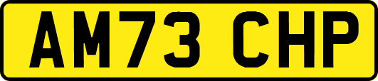 AM73CHP
