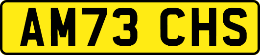 AM73CHS
