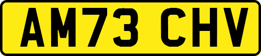 AM73CHV