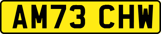 AM73CHW