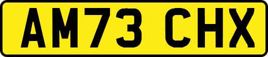 AM73CHX