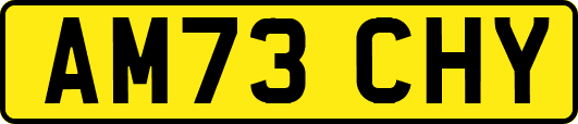 AM73CHY
