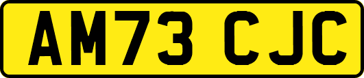 AM73CJC