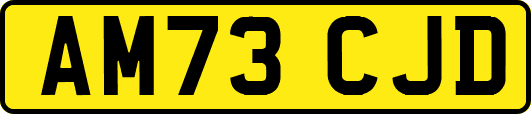AM73CJD