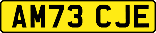 AM73CJE