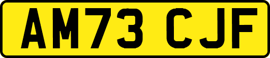 AM73CJF