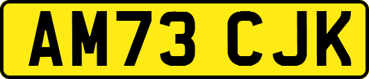 AM73CJK