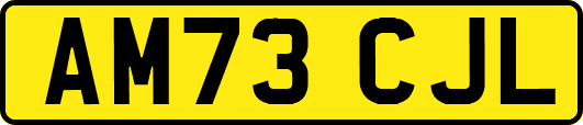 AM73CJL