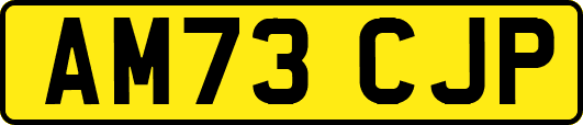 AM73CJP