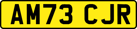 AM73CJR